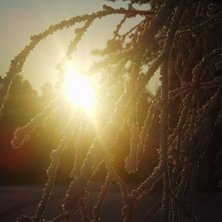 &auml;ven h&auml;r &aring;kte kameran fram, eftersom det var so. Foto: andrea lundqvist.