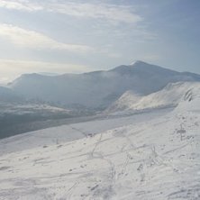 Borkafj&auml;llet &auml;r stort. Foto: M&aring;rten Amberg.