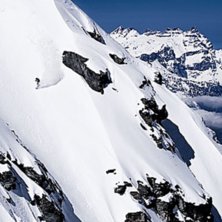 Bec des rosses!. Foto: Olle Svensson. &Aring;kare: Joel Denbesten.