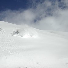 Foto: M&aring;rten Forste. &Aring;kare: Erik Svanberg.