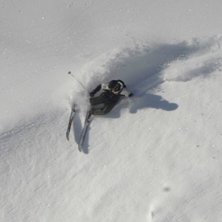 Sv&auml;ng. Foto: Johan Sj&ouml;berg. &Aring;kare: Ulf Bjerke.