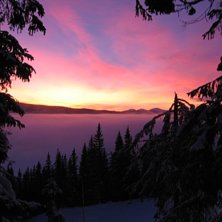 vad s&auml;ger man?.