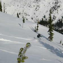 Autofokusen tyckte att grankvisten var roligare. . Foto: Niklas Ruthner. &Aring;kare: Chris Arancio.