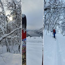 @per hagdal 
@bregofjell 
@markus tysk 
@erik k.