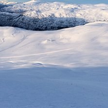 Tirsdag 26 april
Tirsdag ny dag med nydeleg ver og.