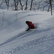 &Ouml;vade p&aring; Frode-sv&auml;ngen en h&auml;rlig dag i parken.. Foto: Christian Th&ouml;rn. &Aring;kare: Magdalena Lindblom.