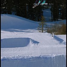 Dub mute. Foto: Emil Gustafson. &Aring;kare: Anton Jansson.