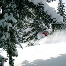 Djupsn&ouml; &aring;kning &auml;r underbar!. Foto: Richard Ovesen. &Aring;kare: Tomas Wall.