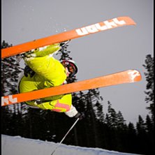 Foto: Andreas Timf&auml;lt / SwedenProPhoto.