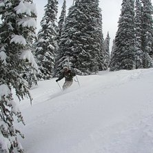 BIG WENDSAY ON MONACHEES..... Foto: howie. &Aring;kare: DIEGUITO.