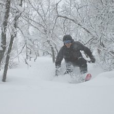 Intill gamla tv&aring;stolarn, bra skogs&aring;kning, aninge. Foto: Tobbe Ryd. &Aring;kare: Johan Carlsson.