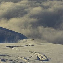 Foto: Alexander Klun. &Aring;kare: Henrik Anderson.