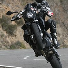 Tyngden p&aring; dalskidan!. Foto: Herwig Peuker. &Aring;kare: Johan Weimer.