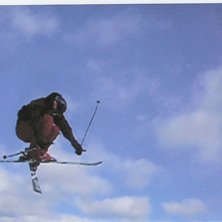 360 mute. Foto: Filip Westlin. &Aring;kare: Patrik Linander.