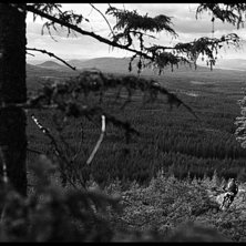 Foto: Andreas Timf&auml;lt. &Aring;kare: Jacob Gustafsson &amp;quot;Jake_20&amp;quot;.