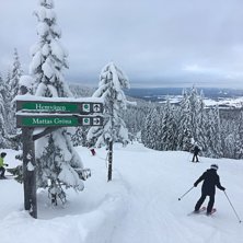 Romme Alpin Foto