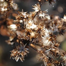 Foto: Linn &Ouml;stlund.