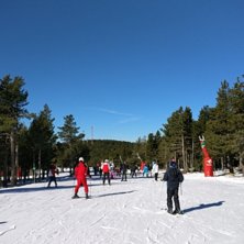 Valdelinares - transportstr&auml;cka i pinjeskog.
