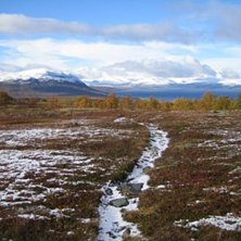 Foto: Sara Mattsson.