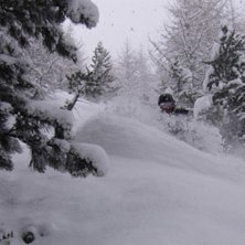 Foto: Herman Johansson. &Aring;kare: Stefan Johansson.