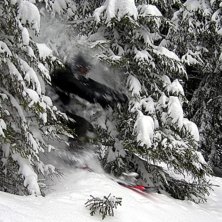 Puder&aring;kning i duved/tegefj&auml;ll . Foto: Viktor Bjurlid. &Aring;kare: Samuel Johansson.