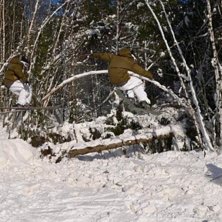 &Ouml;ppningsdagen i uhamn.

synd att inte Johan kun. Foto: johan wistberg. &Aring;kare: Christian Ekdahl.