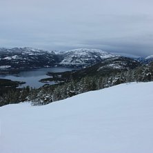 Kjempeforhold i bakken
Hvem hadde trodd at det sku.