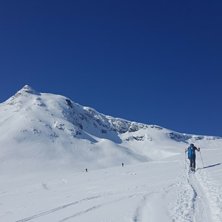 Toppen och ryggen p&aring; Bl&aring;nebba.