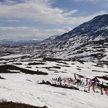 Foto: Johan Hellman. &Aring;kare: M&aring;lomr&aring;det vid botten av Nordalsfj&auml;llet..