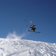 Foto: T. Hal&eacute;n. &Aring;kare: Mange.