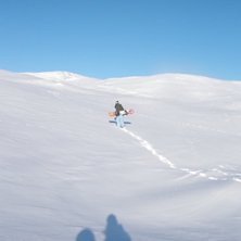 Foto: erik. &Aring;kare: tess.