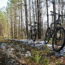 Cyklarna vid en myr utanf&ouml;r Osby i November. Foto: Erik Thorsell.