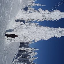 F&ouml;rsta soliga dagen p&aring; veckor. Foto: Emil Persson. &Aring;kare: Karin &Aring;strand.
