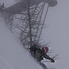 Foto: Guy Coles. &Aring;kare: Gavin Lewis.