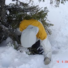t&auml;nkte k&ouml;ra s&aring; n&auml;ra tr&auml;det som m&ouml;jligt ocks�. Foto: Douglas Hallstr&ouml;m. &Aring;kare: Samuel Dalesj&ouml; (jag).