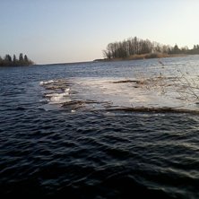 Foto: ian Archibald.