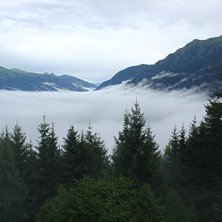 Vaknar till dimma en tidig morgon... Foto: Jenny Johansson.