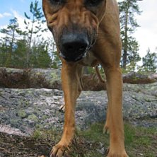 Foto: Jonas Tjernlund. &Aring;kare: Hemi.