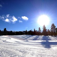 Sommertid og skiforhold
Sola skinner, fuglene kvit.