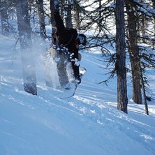 Augilette-skogen i Serre. Foto: Jonas Andersson. &Aring;kare: Daniel Kalin.