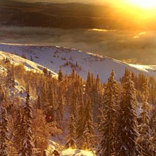 Reine och jag ute och pl&aring;tade i detta underbara l. Foto: Johan St&aring;hlberg. &Aring;kare: Reine Barkered.