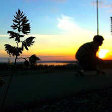 longboarding &ouml;sk. Foto: jag. &Aring;kare: arvid.