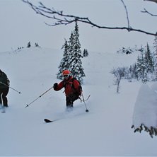 Nydelig dag
Forholdene vedvarer og det er bra med .
