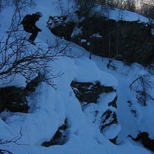 Full fart i skogen p&aring; telisar. Som vanligt &auml;r dr. Foto: Magnus Scherman. &Aring;kare: Jerry Bengtsson.