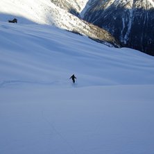 Or&ouml;rda vidder. Foto: G&ouml;ran Eriksson. &Aring;kare: Martin Sund.