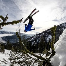 Foto: Johan Svensk. &Aring;kare: Andreas Ojam&auml;e.