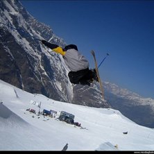 en liten mute. Foto: Ok&auml;nd. &Aring;kare: Jag.