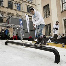 Winter Show i Kungstr&auml;dg&aring;rden 2014.. Foto: Hedda Berander.