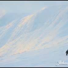P&aring; v&auml;g bort mot nya sv&auml;ngar. Foto: Johan Karlsson. &Aring;kare: Erik Gustafsson, Julia.