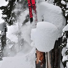 Foto: Erik &amp;quot;Lidas&amp;quot; Lidstr&ouml;m. &Aring;kare: &amp;quot;Hemse Gemsen&amp;quot; Helge Berg.